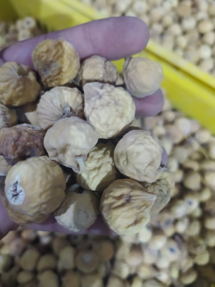 فروش ویژه انجیر لوکس آ + فروش فوق العاده